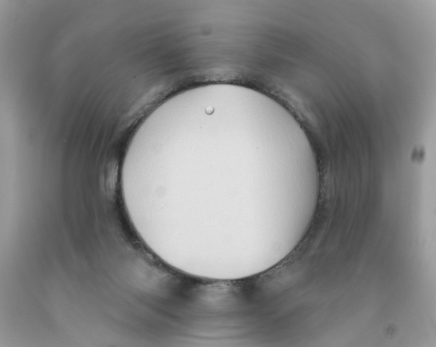 X0000091530118200709141443