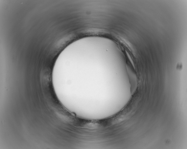 X0000091530119200709141443
