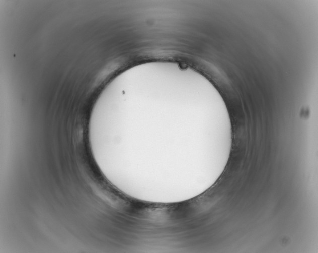 X0000091530120200709141443
