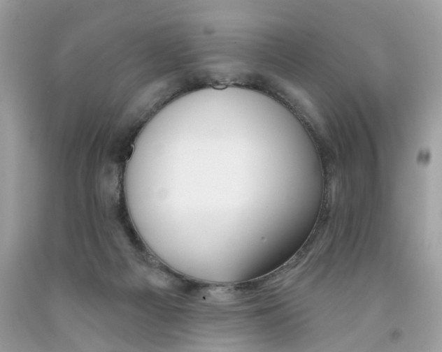 X0000091530121200709141443