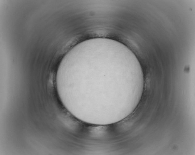 X0000091530122200709141443