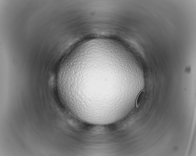 X0000091530123200709141443