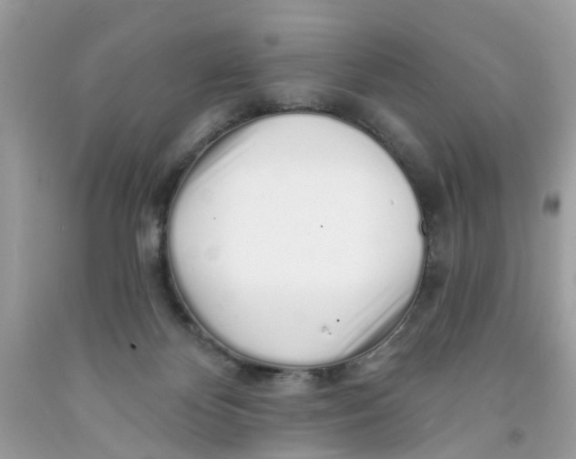 X0000091530124200709141443