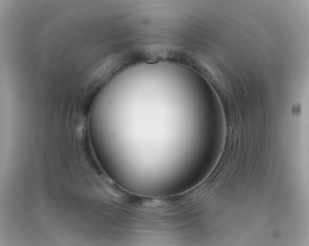 X0000091530125200709141443