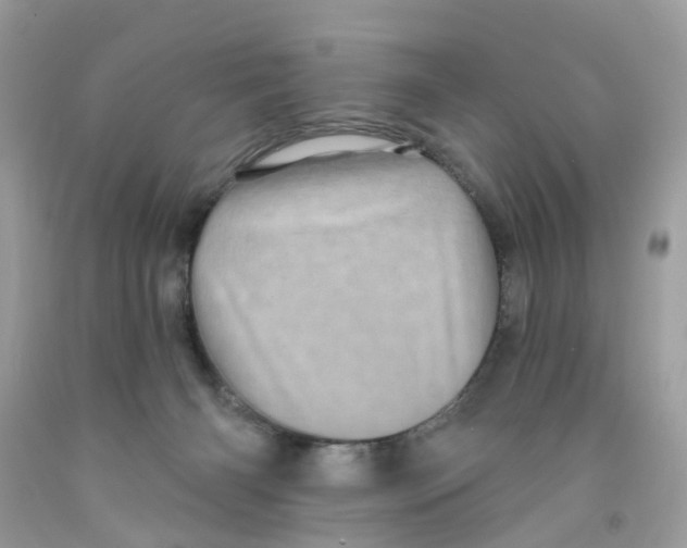X0000091530126200709141443