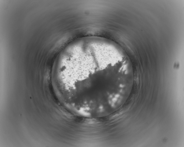 X0000091530127200709141443