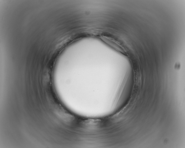 X0000091530128200709141443