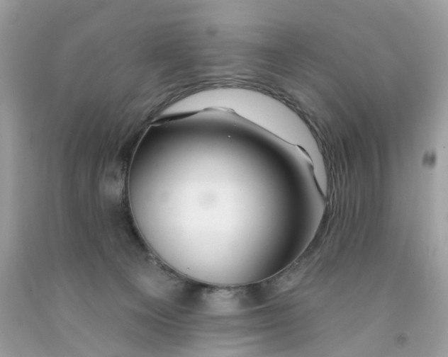 X0000091530129200709141443