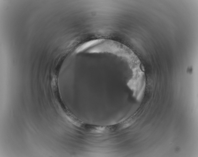 X0000091530130200709141443