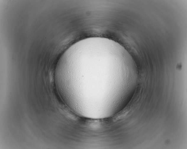 X0000091530131200709141443