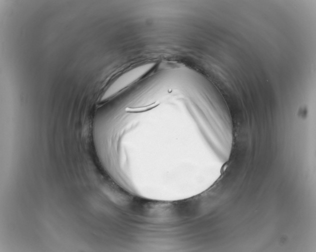 X0000091530132200709141443