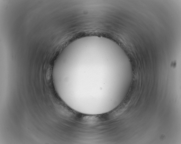 X0000091530133200709141443