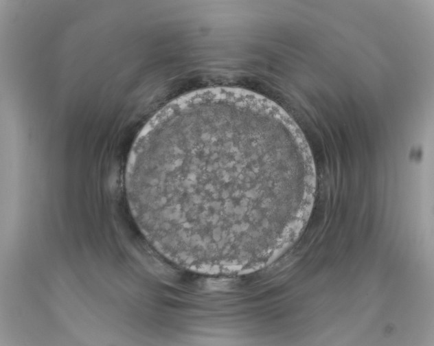 X0000091530134200709141443
