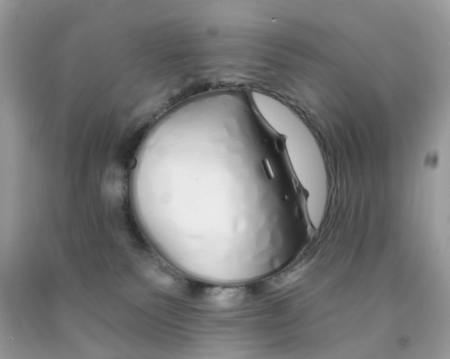 X0000091530135200709141443