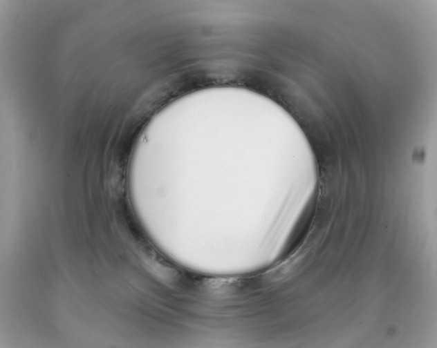 X0000091530136200709141443