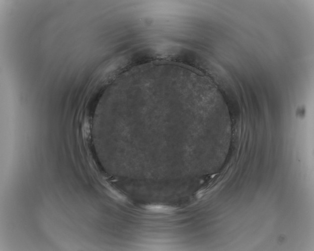 X0000091530137200709141443
