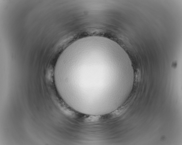 X0000091530138200709141443