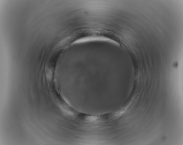 X0000091530139200709141443