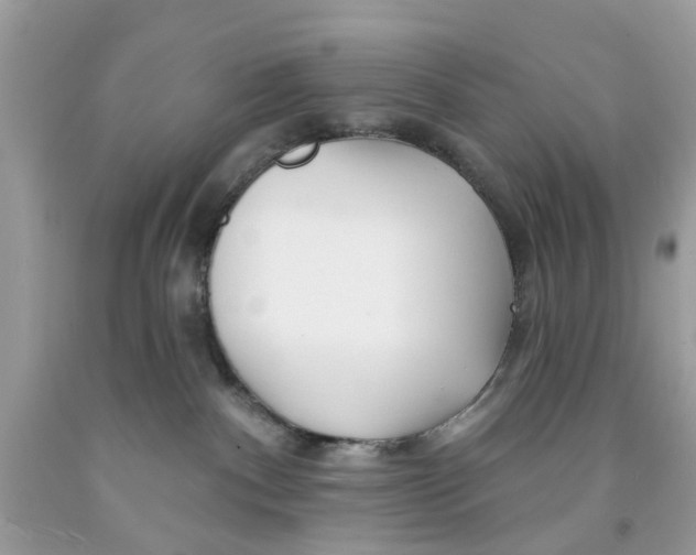 X0000091530140200709141443