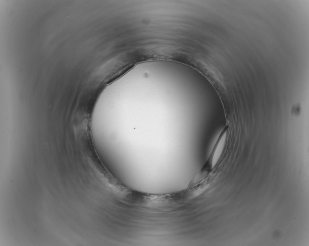 X0000091530141200709141443