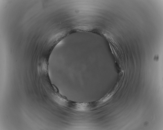 X0000091530143200709141443