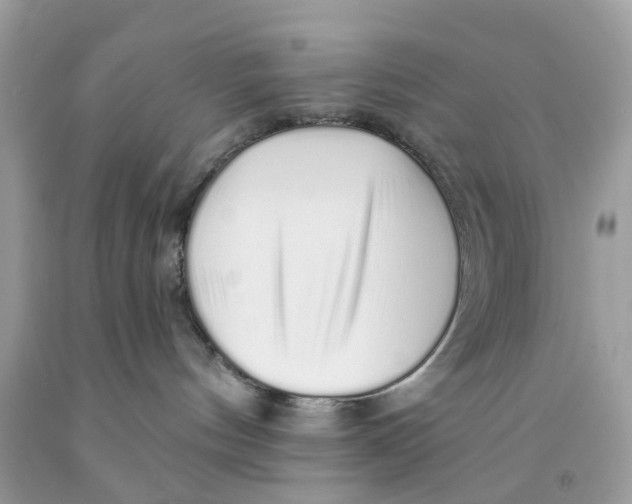 X0000091530144200709141443