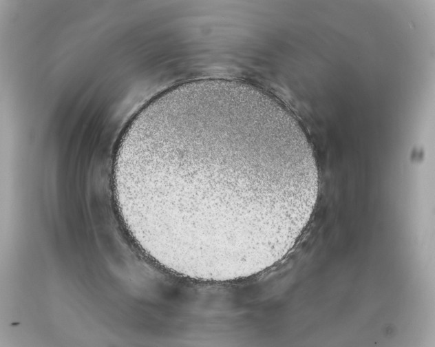 X0000091530146200709141442