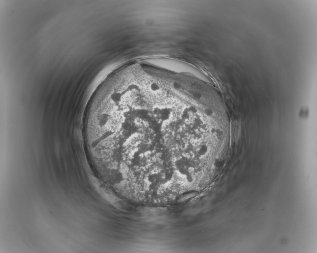X0000091530147200709141442