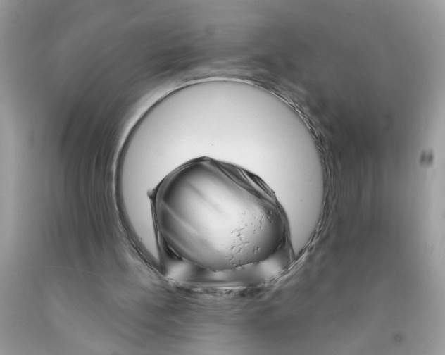 X0000091530148200709141442
