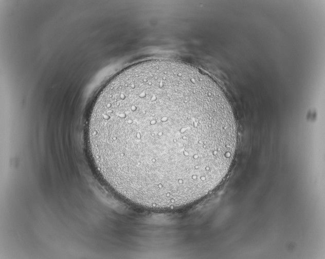 X0000091530149200709141442