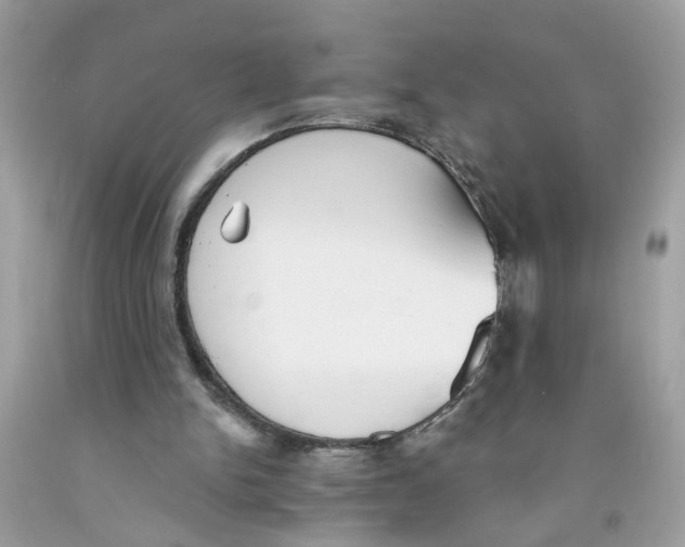 X0000091530150200709141442