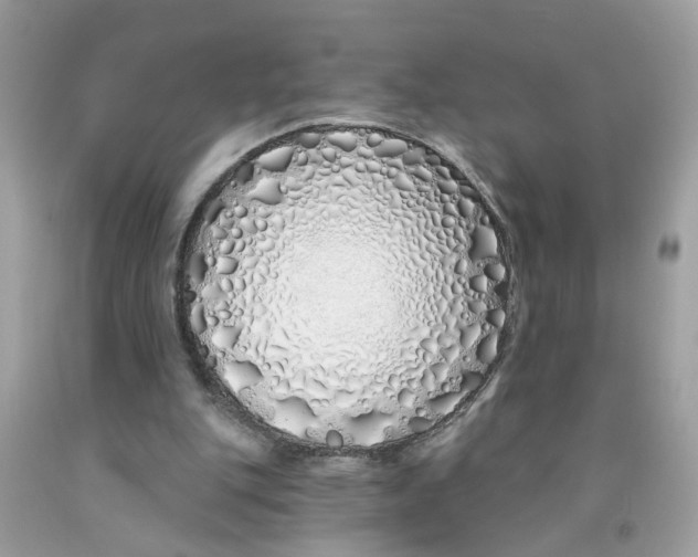 X0000091530151200709141442