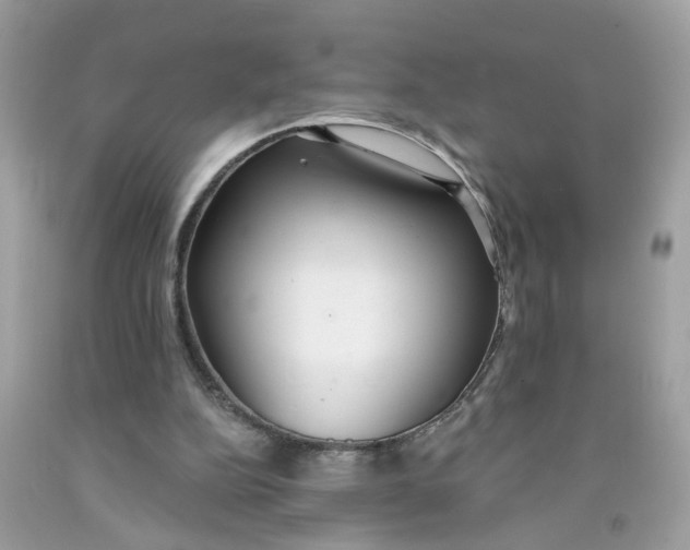 X0000091530152200709141442