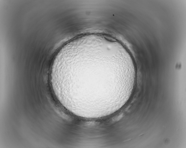 X0000091530153200709141442