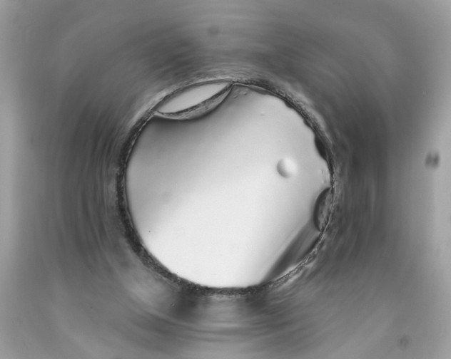 X0000091530154200709141442