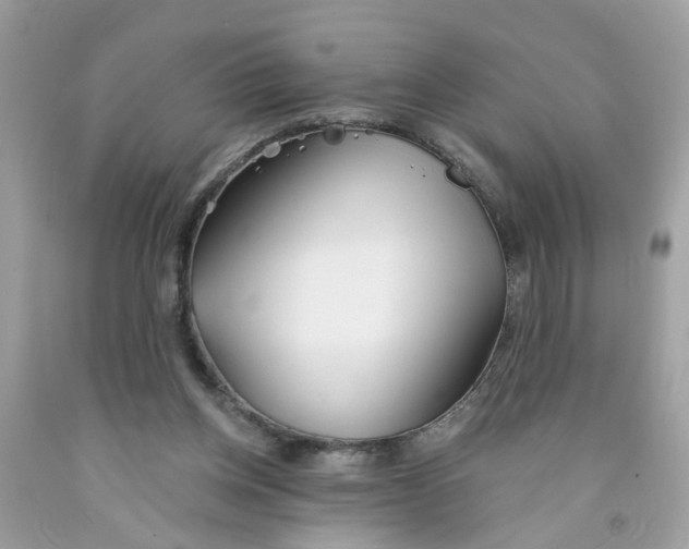 X0000091530158200709141442