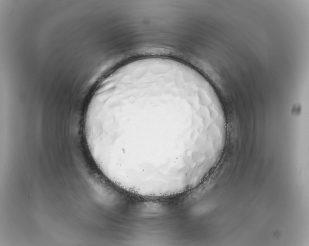 X0000091530159200709141442
