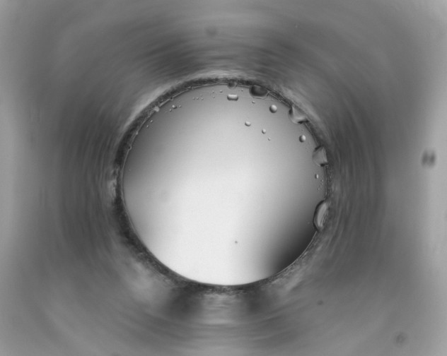X0000091530160200709141442