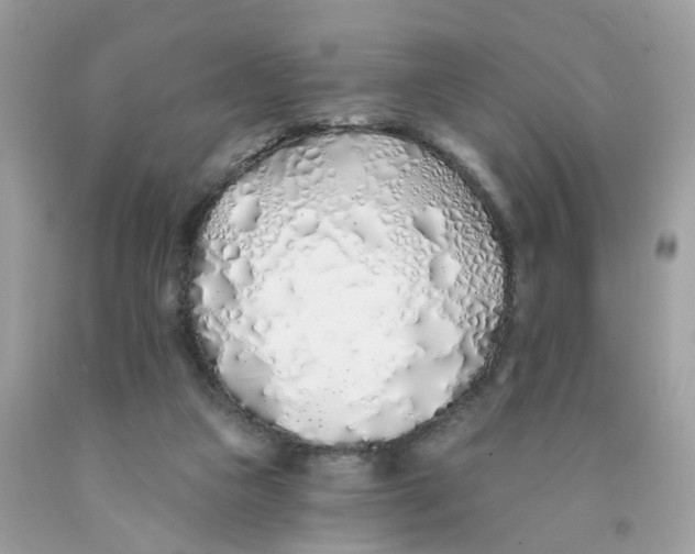 X0000091530161200709141442
