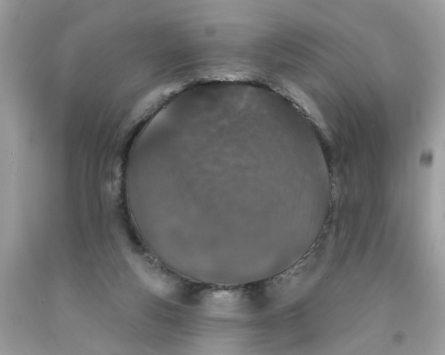 X0000091530163200709141442