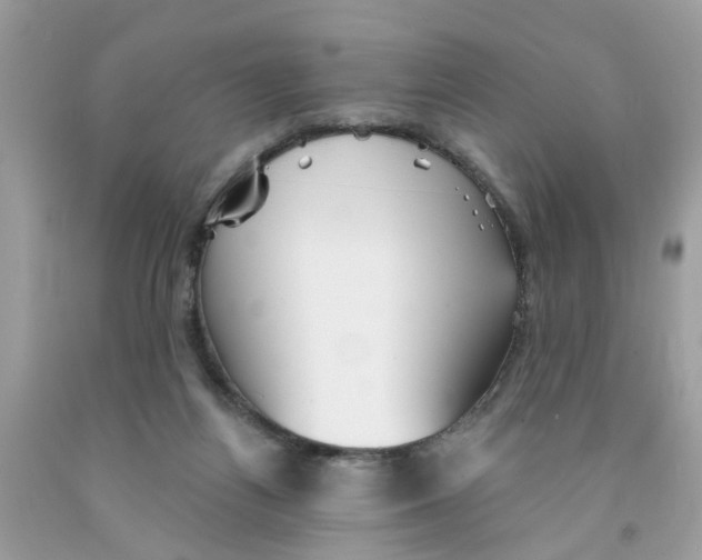 X0000091530164200709141442