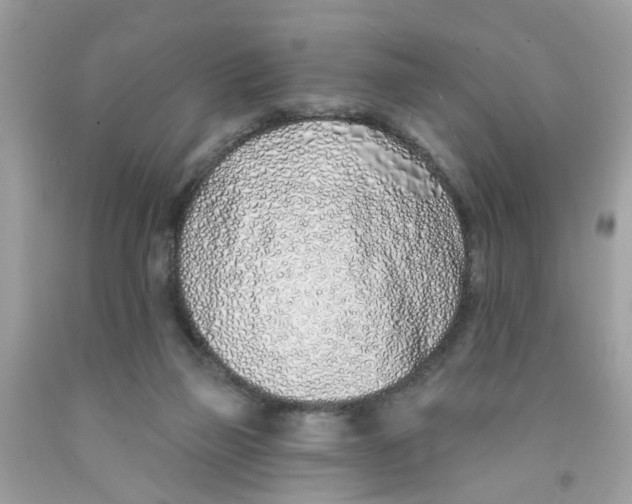 X0000091530165200709141442