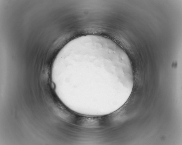 X0000091530166200709141442