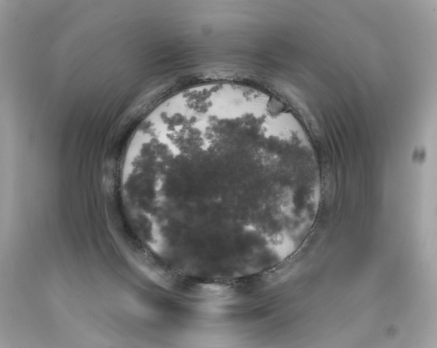 X0000091530167200709141442