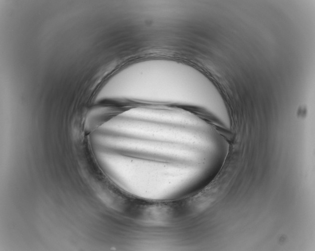 X0000091530168200709141442