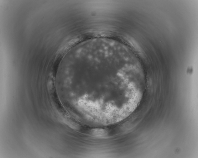 X0000091530169200709141442
