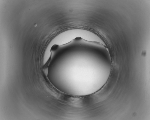 X0000091530170200709141442