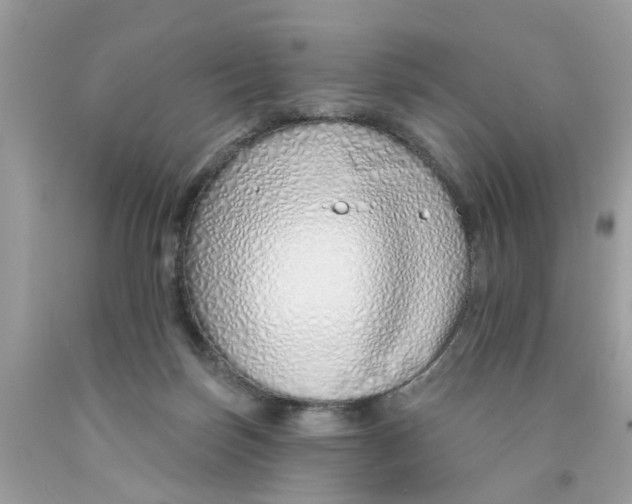 X0000091530171200709141442