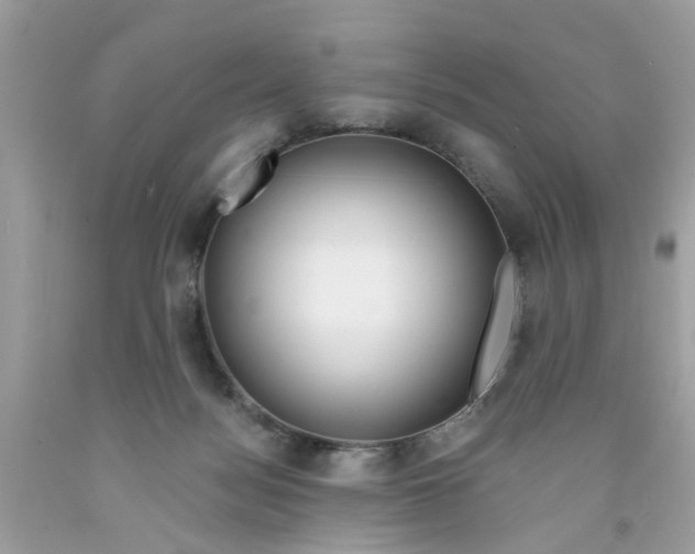 X0000091530172200709141442