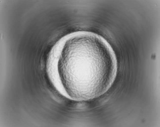 X0000091530173200709141442